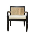 Arm Chair Aliso With Cushion