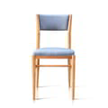 Dining Chair Dick icon