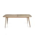 Dining Table Tango In Teak Slats - 200x100 icon