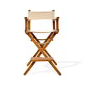 Director Chair High icon