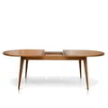 Ext. Dining Table Ritz 180/220 X 100 icon