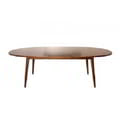 Ext. Dining Table Ritz 180/220 X 100 icon