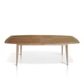 Extension Double Table Mid Century Tapered Legs icon