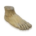 Foot Sculpture Replica