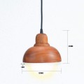 Hanging Lamp Shape Delta