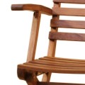 Horizon Folding Arm Chair