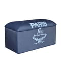 Paris Trunk Box icon