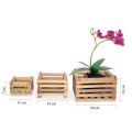 Pot Anggrek Orchid Set Of 3