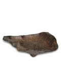 Primitive Bowl Root icon