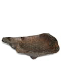 Primitive Bowl Root icon