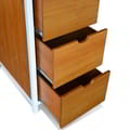 Rackshelf Lavinia icon