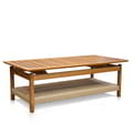 Seed Coffee Table With Shelf Woven Leather 120x60 icon