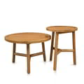 Seed Side Table - Set Of 2 icon