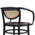 Tonet Arm Chair Wooden Seat Rattan Back Rest icon