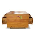 Trunk Box Double Face With Drawers icon