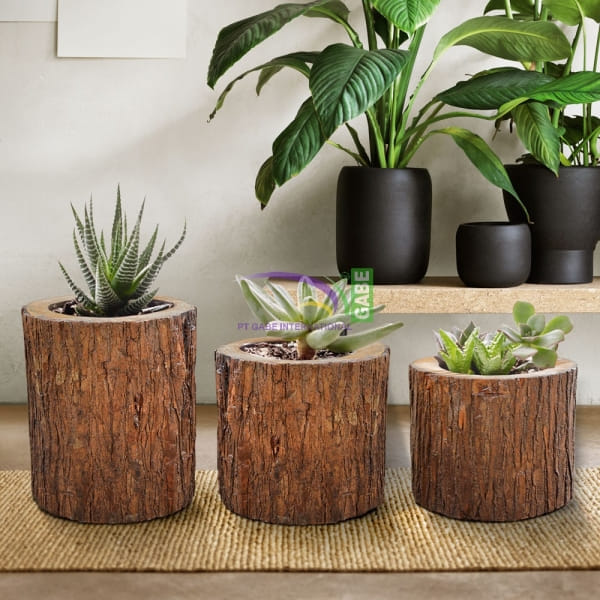 Unique Ornamental Plant Pot From Natural Wood